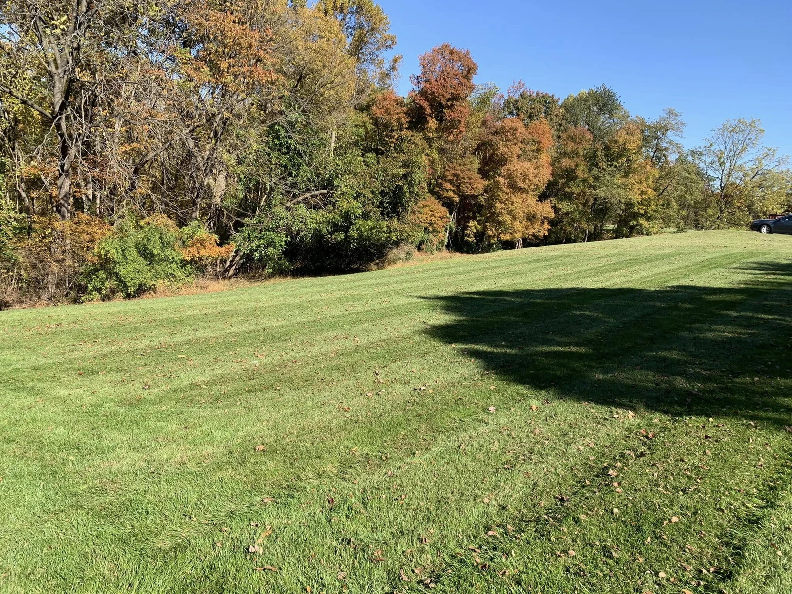 A cared-for lawn framed by trees in autumn color — Dylan’s Lawn Care