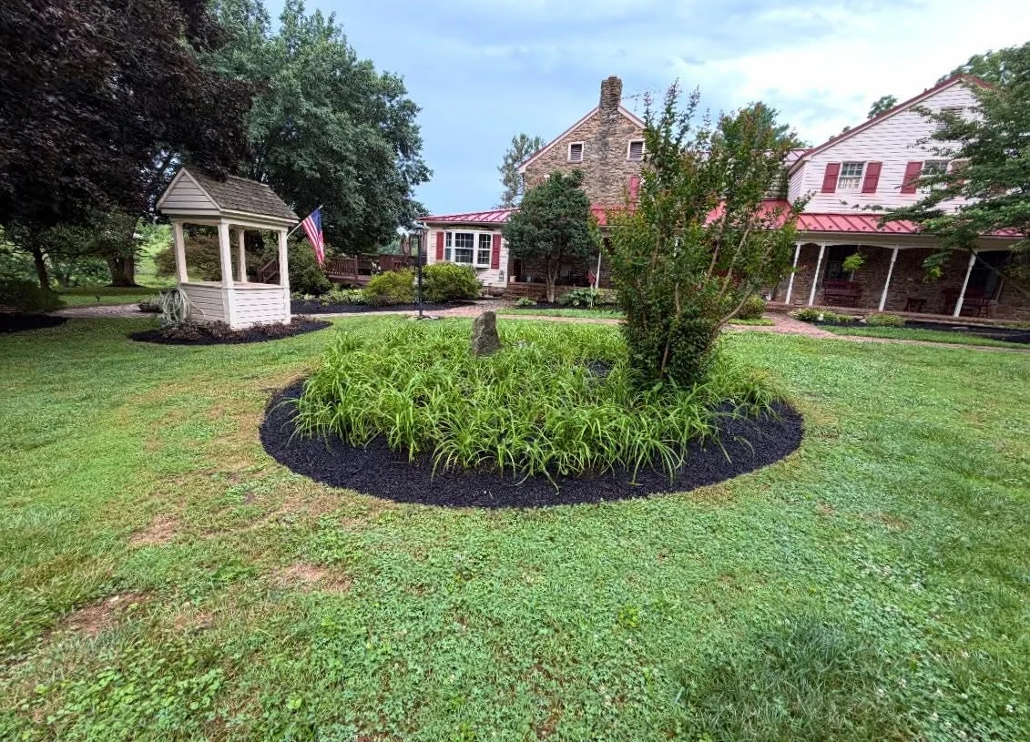Curved garden island with fresh dark mulch surrounded by maintained green lawn — Dylan’s Lawn Care
