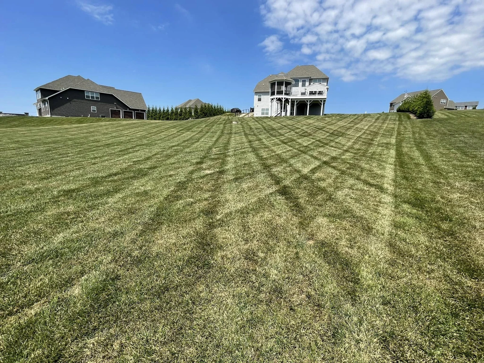 Mowing patterns across a broad sloping lawn under a summer sky — Dylan’s Lawn Care